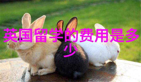 AI经济学与数据科学华威大学25Fall新增热门硕士专业