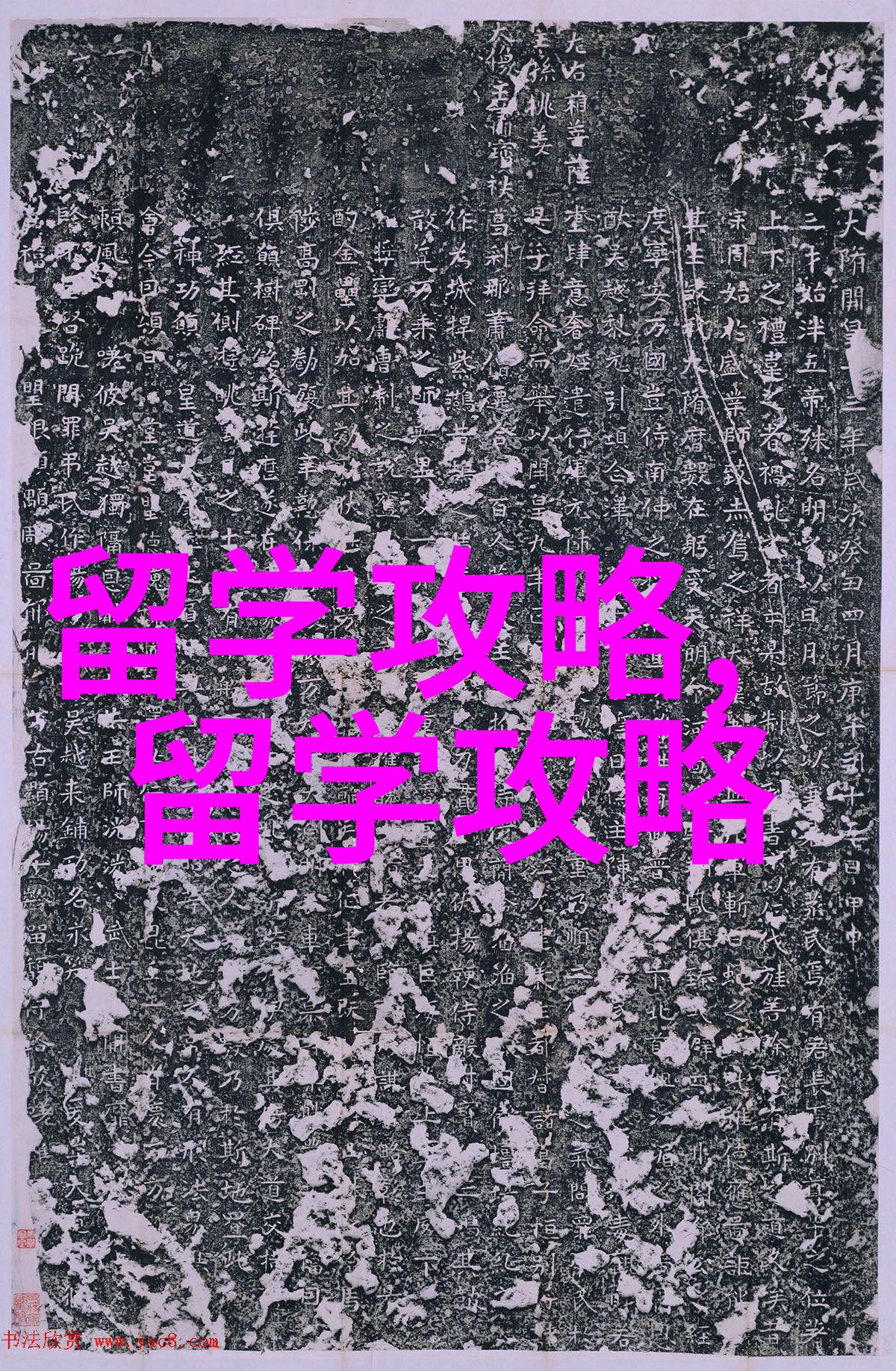 韩国留学韩国牧园大学硕士2025年春季留学学制短学费低中文授课中留服认证