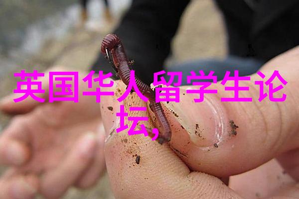 研究生澳洲留学申请流程是怎样的