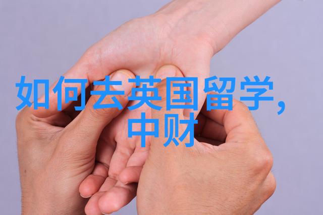 雷丁大学官宣接受高考成绩直申本科