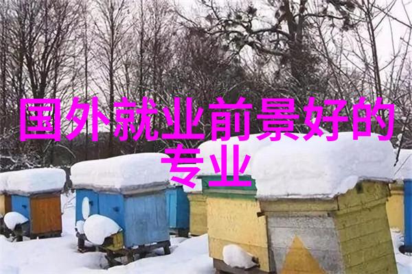 港澳留学研究生哪个好考