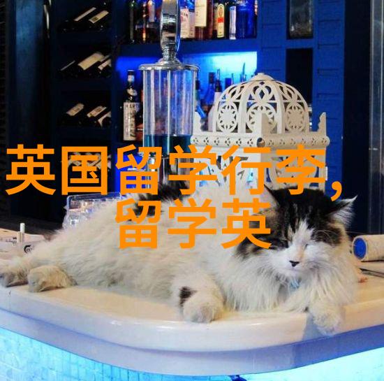 西安交通大学2023年春季研究生海外访学奖助金评定的通知