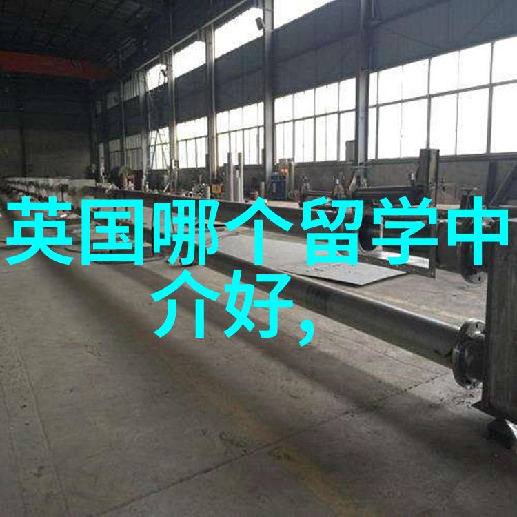 芬兰350家公司表示希望英语为工作语言