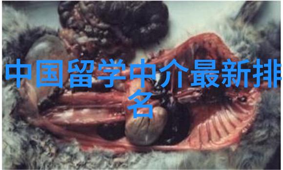 公派留学专业公派留学专业选择与申请指南