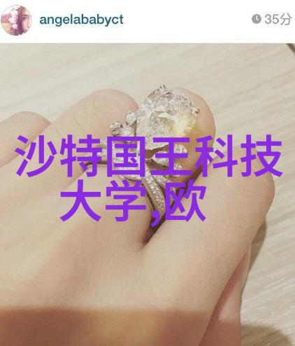 悉尼大学不可以配语言班的本科专业
