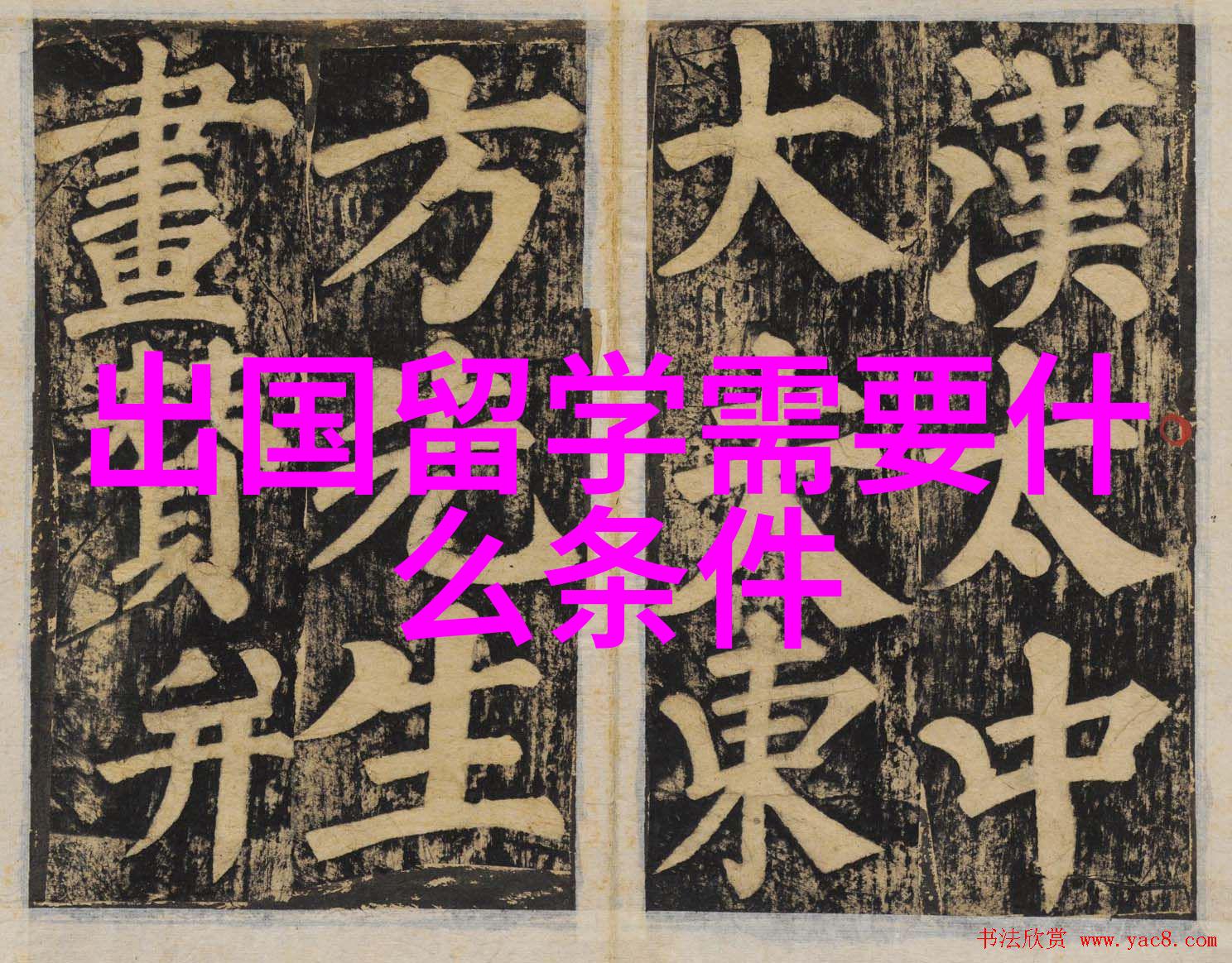 新西兰梅西大学研究生留学专业推荐
