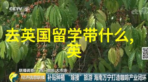 请收好2020高考后英国留学方案拍了拍你