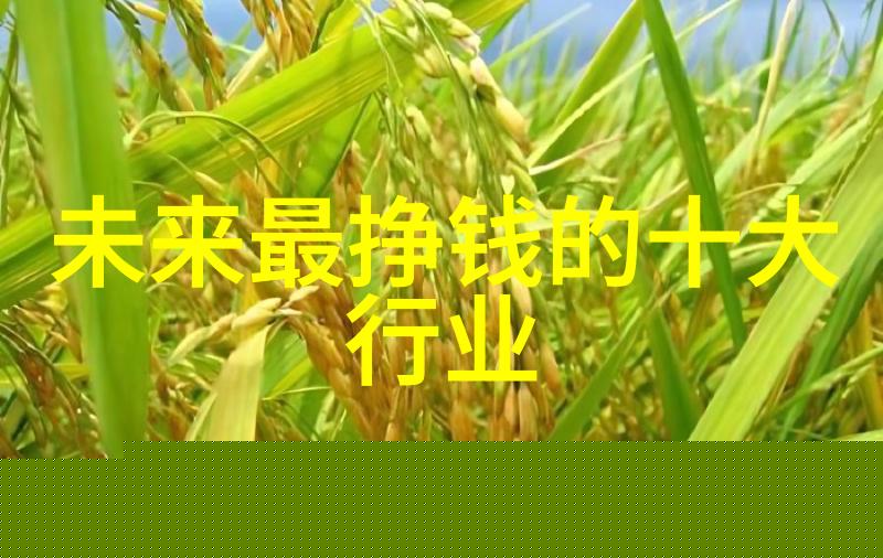 初中生留学大马有哪些优势如何申请