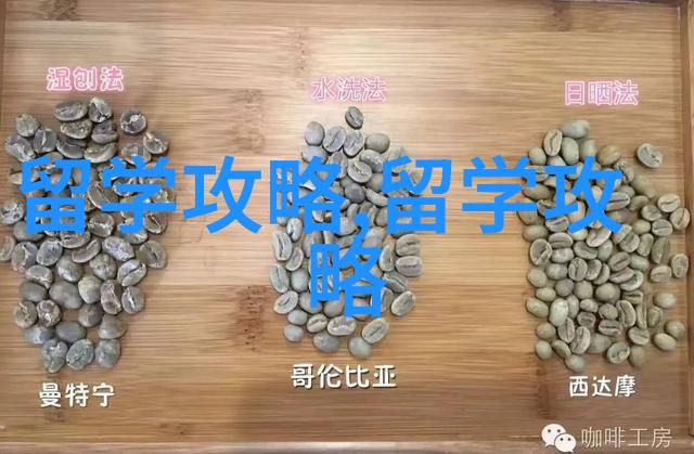 英国大学2025年1月入学更新