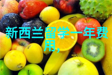 马来西亚留学会计怎么样