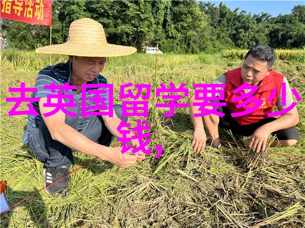 高考后可以选择去英国留学