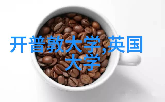 爱尔兰国立科克大学2025年入学重要更新